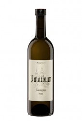 Burgenland Sauvignon Blanc - 2012