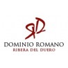 Dominio Romano - Ribera del Duero